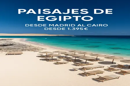 Task 01k8b1xmcdfverjz6ggcg445n4 